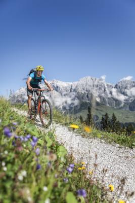 Ferienwohnung Mühlbach, Unterleegut Apartments, Mühlbach am HOCHKÖNIG mountainbike-hochkoenig-gross  